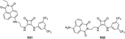 Squaramide—Naphthalimide Conjugates as “Turn-On” Fluorescent Sensors for Bromide Through an Aggregation-Disaggregation Approach